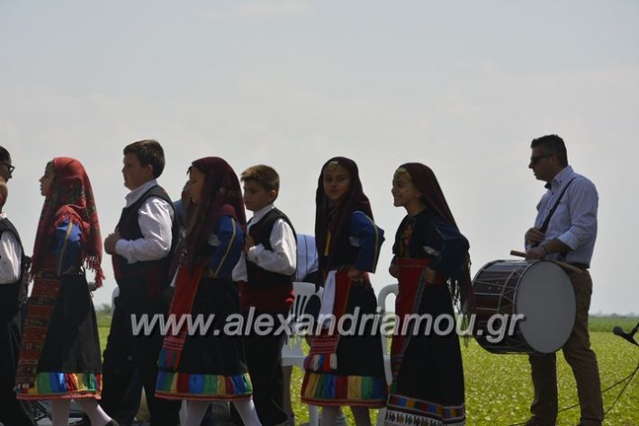 alexandriamou.gr_trikala28.5.2018140